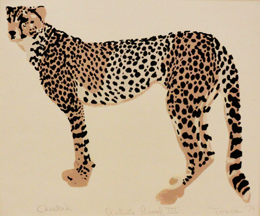 Cheetah