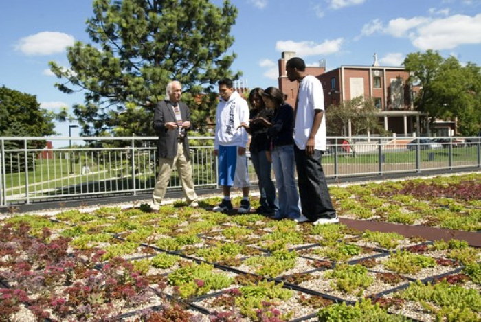 students on green roof architecture