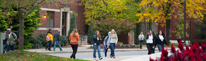 students walking in autumn