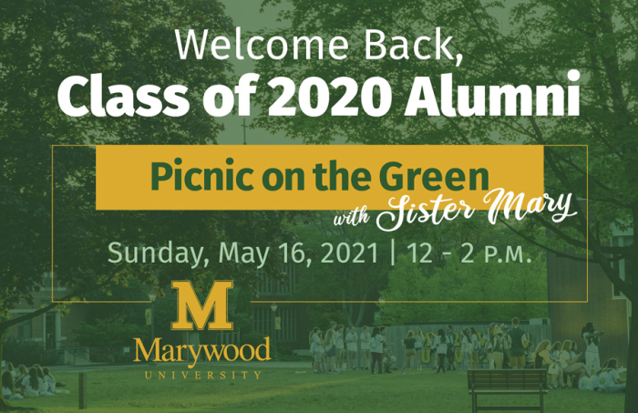 picnic on the green invitation