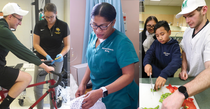 photo collage of hands on healthcare professions