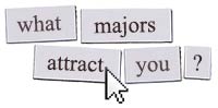 What Majors Attract You?