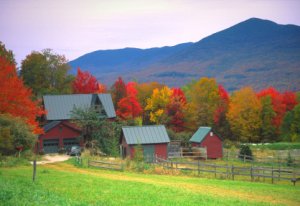 vermont_foliage_sm