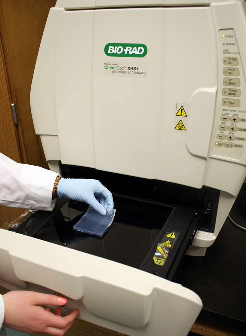 Photo of Gel & Blot Imaging System